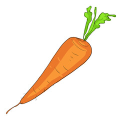 Colorful carrot icon. stock illustration
