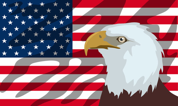  American bald eagle in front of the American flag Vector