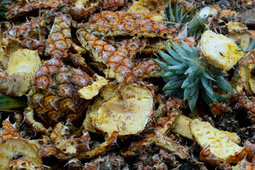 Piles of pineapple peel that were cut into pieces together. Looks fresh from being left for no more than 1 day.