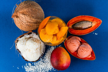 Mammee Apple, Coconut and mago ice cream 