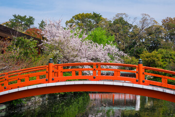 京都　神泉苑の法成橋（ほうじょうばし）と桜　