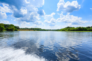 Panorama from Amazon rainforest, Brazilian wetland region.