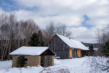 Old barn in a field during Quebec winter in Canada