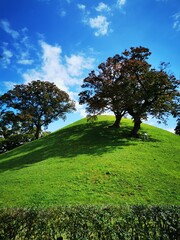 Gyeongju Tumuli Park South Korea