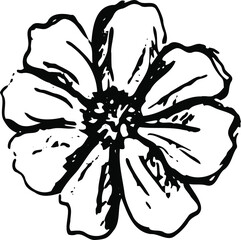 Isolated white and black vector icon flower, hand drawning, for botanic and floristic