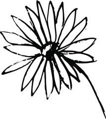 Isolated white and black vector icon flower, hand drawning, for botanic and floristic