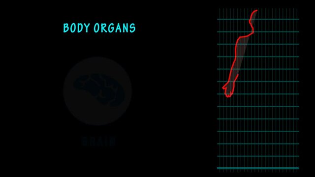 animated videos about parts of human organs with dark backgrounds and animations of people shaped sideways