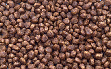 Close up dogs grains texture background