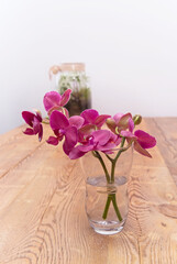 arrangement with an orchid and plants in a jar on a table made of pine boards 