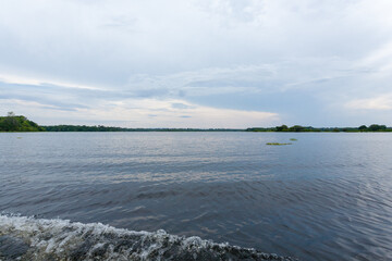 Panorama from Amazon rainforest, Brazilian wetland region.