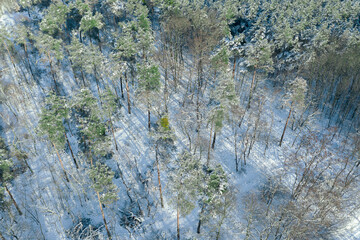 Luftbild verschneiter Wald