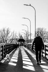 Pieszy mężczyzna na spacerze z psem na kładce dla pieszych nad rzeką Nogat w Malborku