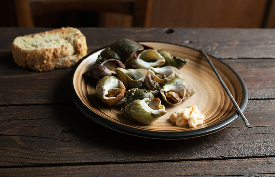 Fresh sea snails bulot or common whelks boiled with herbs in a plate and a piece of bread on a dark wooden table