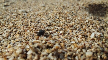 pebbles on the beach