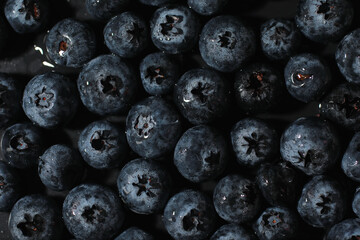 Water drops on ripe sweet blueberry. Fresh blueberries background with copy space for your text. Vegan and vegetarian concept. Macro texture of blueberry berries.