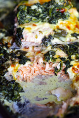 salmão assado no forno com espinafre e creme coberto com queijo. 