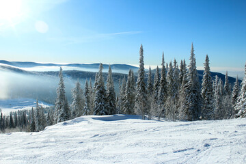 Snowy mountains with forest. Sunny day. Sun in the mountains