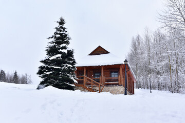 Wooden house in mountain in winter time. Log cabin in forest alone in wilderness. Wooden house with a wooden roof against background of snow-covered fir trees. Relaxation and solitude in wild