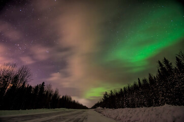 Obraz na płótnie Canvas Northern lights over the forest. Polar light 