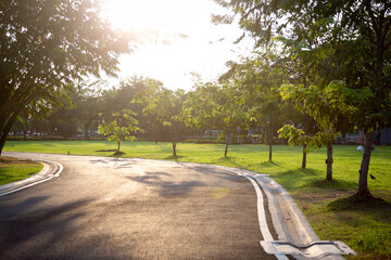 Asphalt pathway in garden with beautiful light and environment.