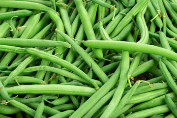 Green fresh asparagus beans close-up. Healthy food.