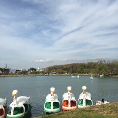 대구 수성못 오리배 강가 소풍