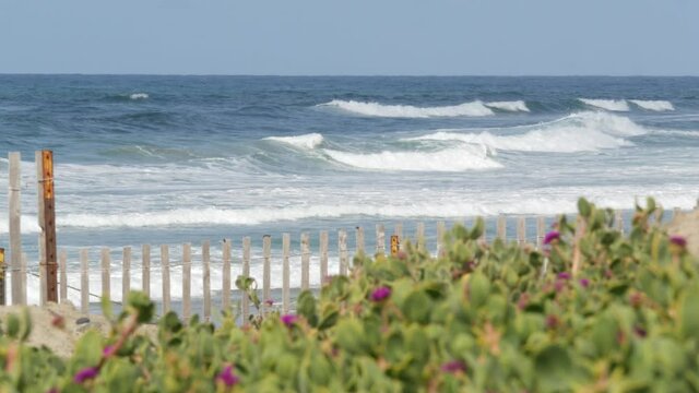 Blue turquoise water surf, big tide waves on sunny summer beach, Encinitas shoreline, California USA. Pacific ocean coast, greenery and wooden picket fence on sea shore. Coastline near Los Angeles.
