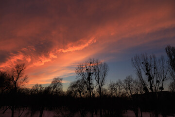 Beautiful landscape in the rays of the sunset.