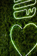 Burger neon love heart light fixture on green leaf interior wall.