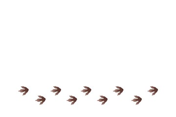 isolated illustration of footprints, dinosaur prints on white background  © Евгения Кузнецова