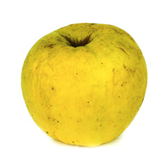 Spoiled Apple isolated on a white background. Macro photos with a large depth of field