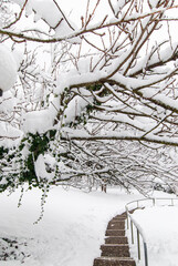 A staircase down under snowy branches in a park.