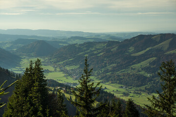 Fototapeta premium many trees on hill with meadow and lake