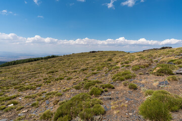 mountainous landscape in Sierra Nevada