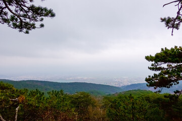 wide view while hiking in autumn on a hill with a pine forest