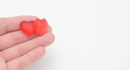 Fototapeta premium The man holds two love valentine day hearts on white background.