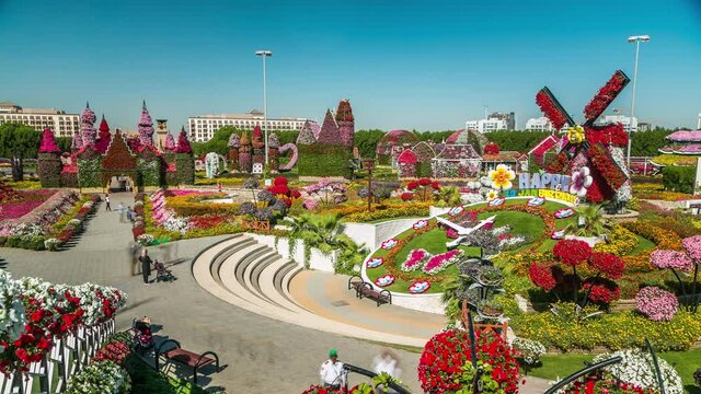 Top view of Dubai miracle garden timelapse with over 45 million flowers in a sunny day, United Arab Emirates. Big clock and houses are made from flowers