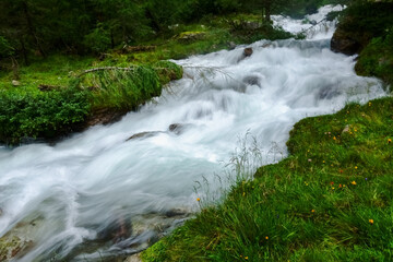 wonderful white cold rushing mountain brook between a green meadow