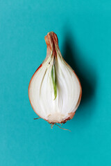 Half a sliced onion in the husk on a turquoise background. Halved onion. Cut the onion in half with the sprouted green sprouts