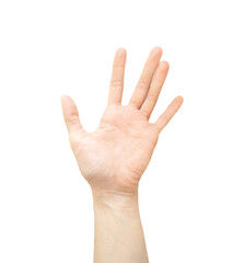 Raised up female hand with open palm isolated on a white background