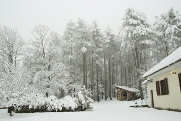 Liguria, Italy - February, 04,2021: Amazing heavy snow from the villlage in Italy. Beautifull photography of the white background with grey and blue sky. Snow and some iced trees.