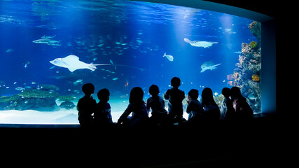 silhouette of people watching fishes in aquarium tank