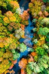 Top down view of colorful autumn forest, Poland