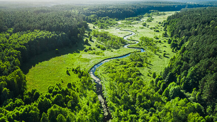 Winding small river and green swamps with forest, aerial view
