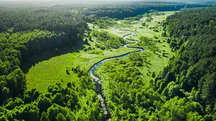 Aluminium Prints Forest river Winding small river and green swamps with forest, aerial view