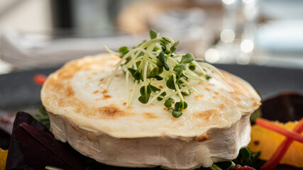 Classy cheese dinner close up with garnish 