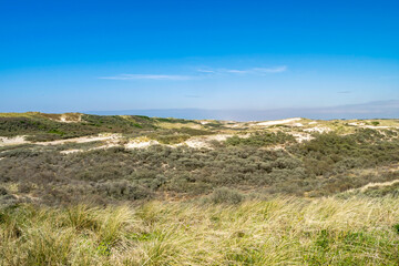 Dunes of the North Sea in the Netherlands, panoramic view. Summer sunny coastal landscape with overgrown dunes and bright blue sky.