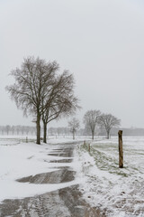 Country road with trees and bench in winter landscape