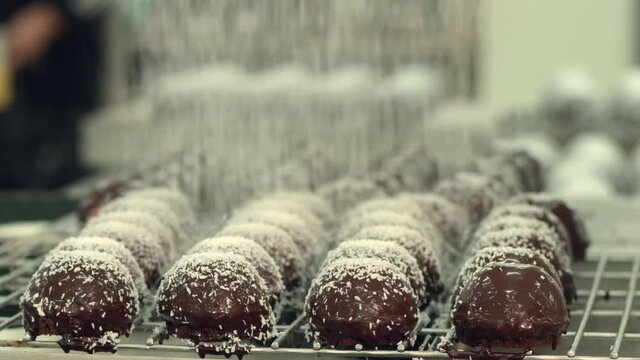 The production of delicious and colorful cakes is made in the factory. Making many kinds of cakes from chocolate to fruit, from hazelnut to pistachio, from cheese to coffee.