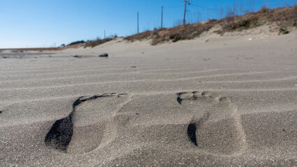 砂浜の足跡
